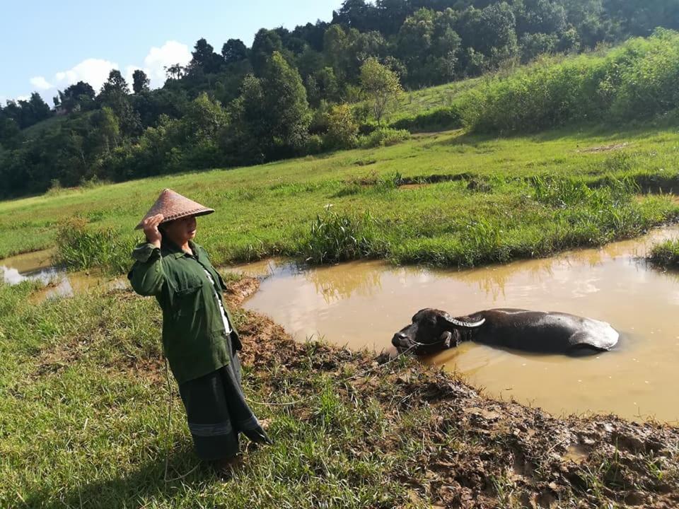 Hotel Shwe Nann Htike Pyin Oo Lwin Luaran gambar